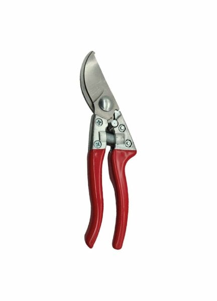 RONEY GARDEN BUDAMA MAKASI GM-8