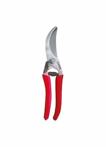 RONEY GARDEN BUDAMA MAKASI GM-1