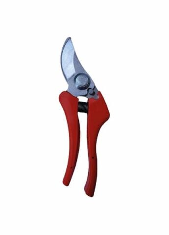 RONEY GARDEN BUDAMA MAKASI GM-5