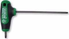 Ceta Form K12-015-100 T15 C-Plus T Saplı Allen Torx