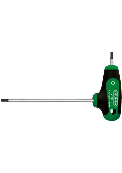 Ceta Form K12-030-150 T30 C-Plus T Saplı Allen Torx